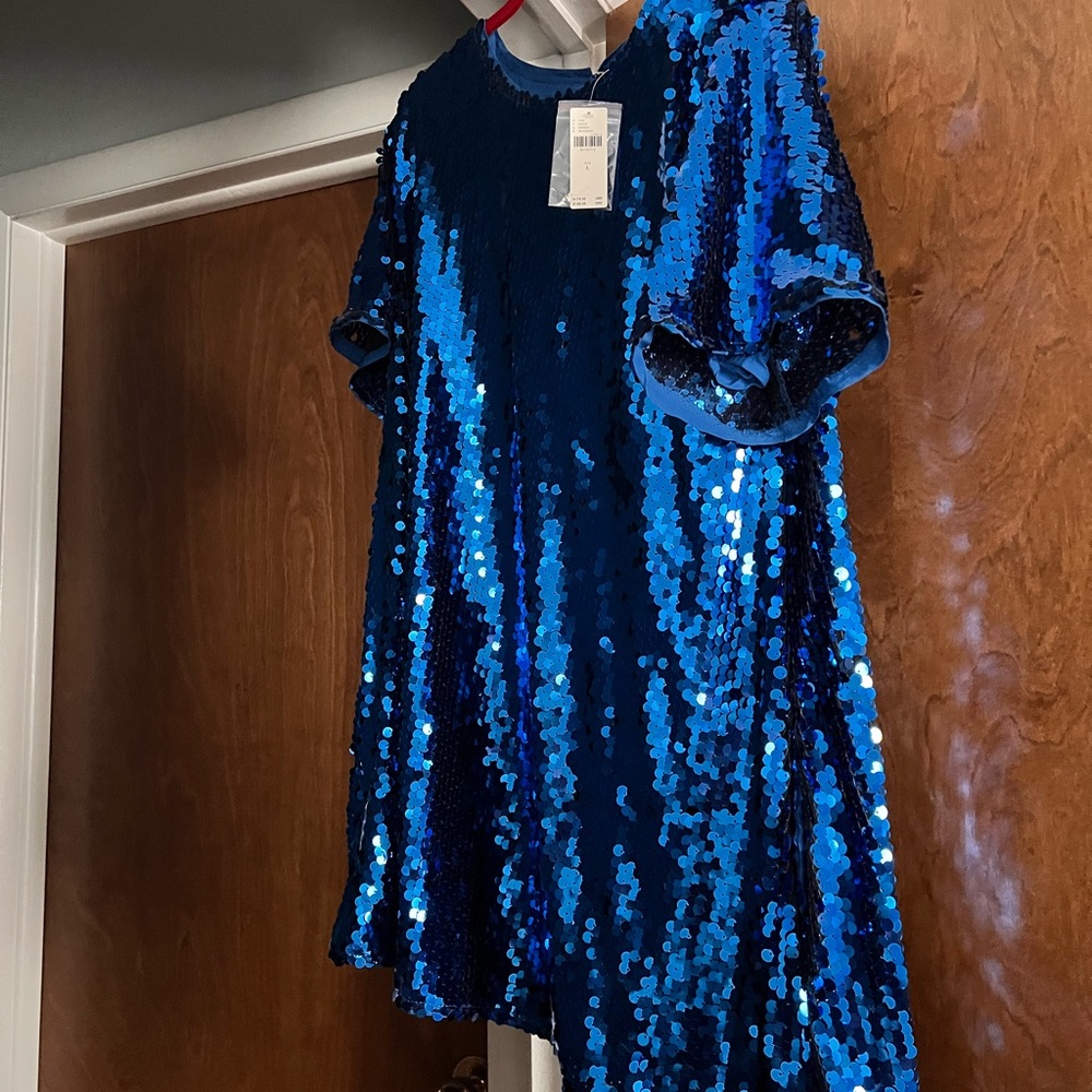 Anthropologie Shimmering Blue Sequin Dress